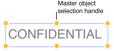 Object selected, showing master object selection handles