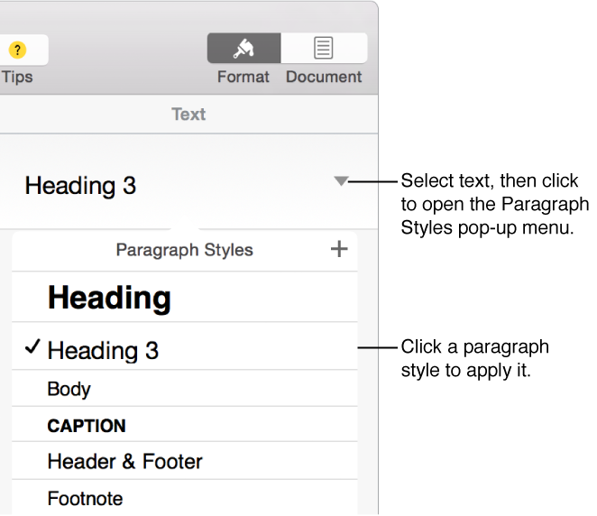 The Paragraph Styles menu 