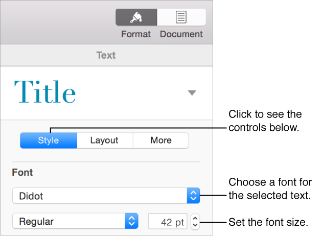 Text controls in the Style section of the sidebar for setting font and font size