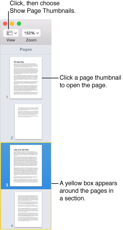 Thumbnail pane showing pages in a section outlined in yellow