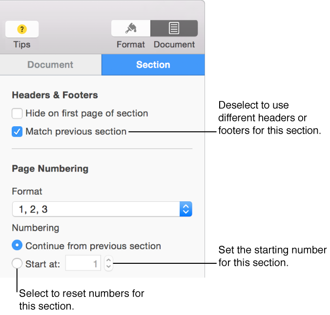 Section pane of the Setup inspector, showing controls for headers, footers, and page numbering.