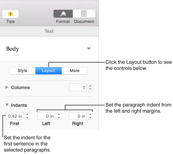 Layout pane of the Format inspector, showing controls for indents and margins.