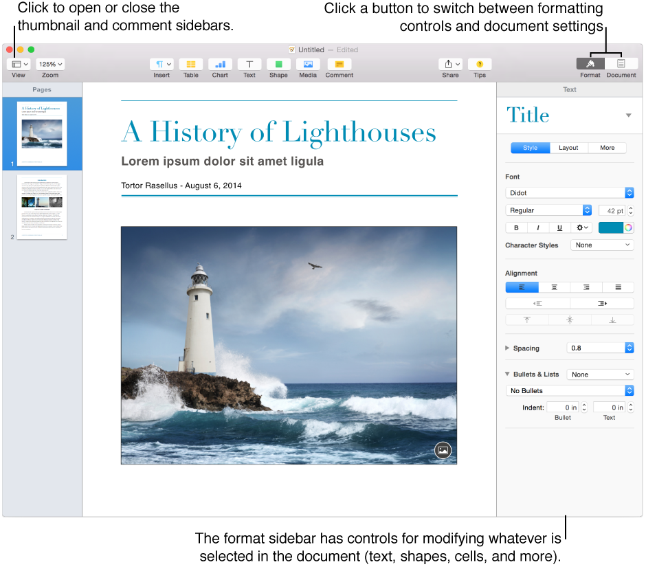 The Pages window with callouts to the View menu button and Format and Document buttons in the toolbar. Sidebars are open on the left and right