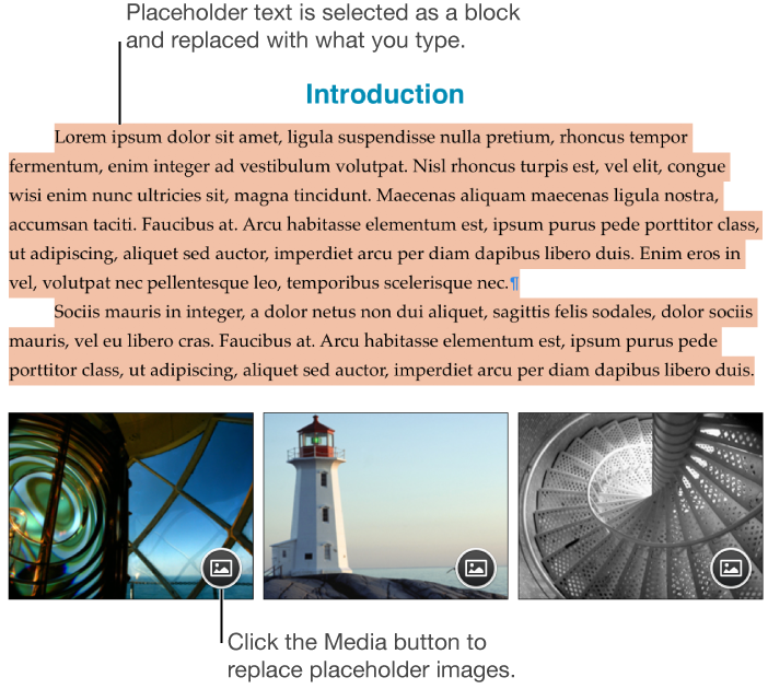 Placeholder text and images