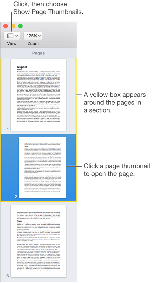 The thumbnail sidebar showing pages in a section outlined in yellow