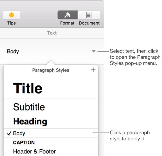 The paragraph styles menu with a checkmark next to the selected style