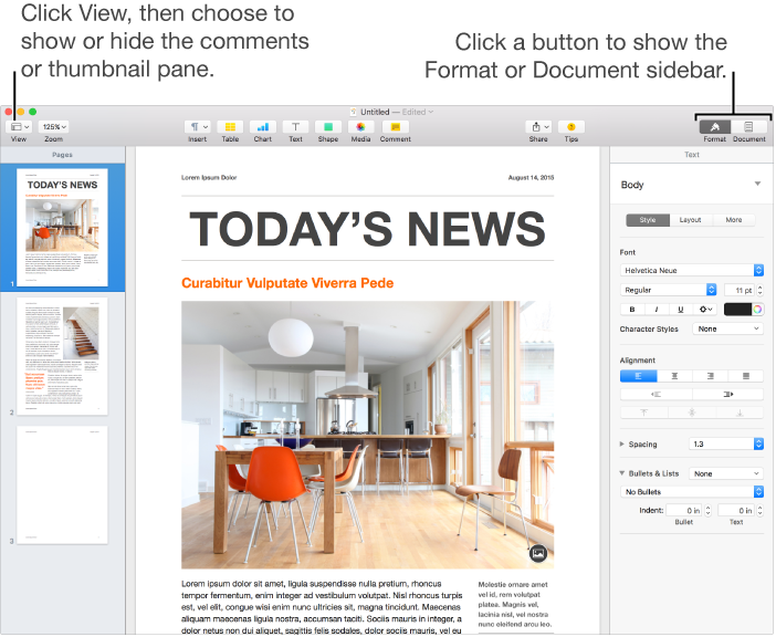 The Pages window with callouts to the View menu button and Format and Document buttons in the toolbar. Sidebars are open on the left and right
