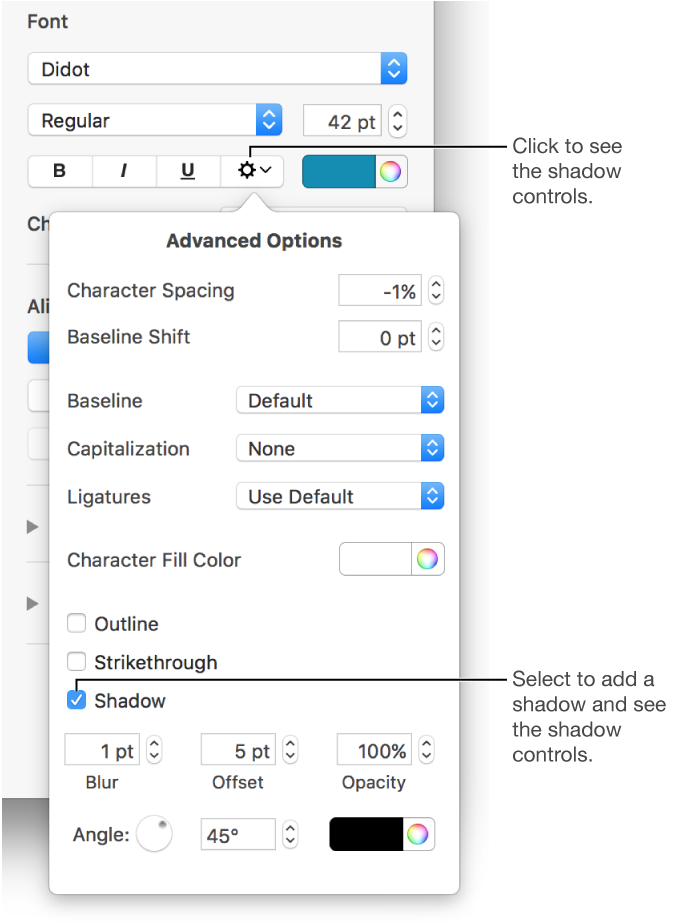 The Advanced Options menu open with the Shadows checkbox selected and controls for setting blur, offset, opacity, angle, and color