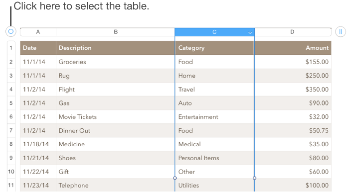 A table with the selection handle in the upper-left corner