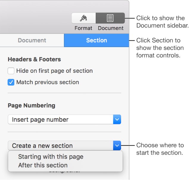 The Section tab with Create a new section pop-up menu