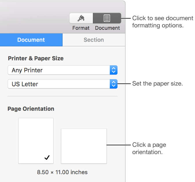 Controls for setting paper size and orientation