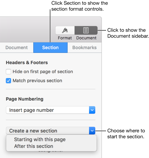 The Section tab with Create a new section pop-up menu