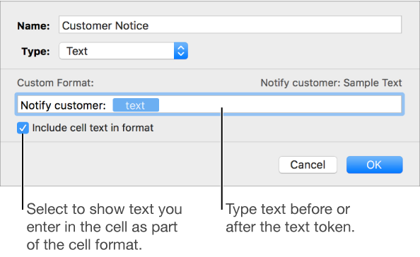 The custom cell format window with controls for choosing custom text formatting