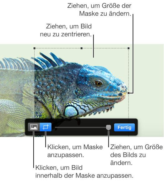 Maskierungssteuerelemente über einem Foto