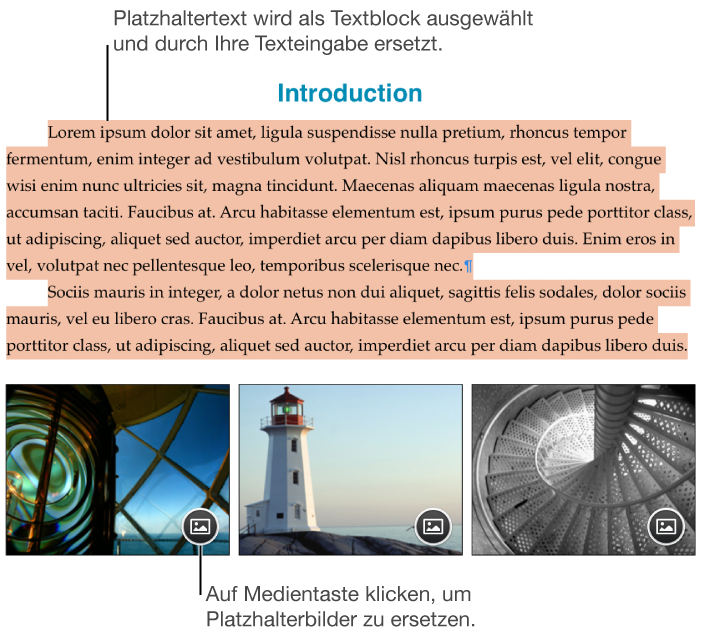 Platzhaltertext und Platzhalterbilder