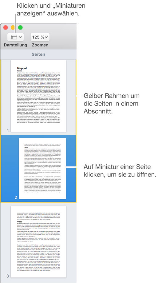 Der Abschnitt in der Seitenleiste mit den Miniaturen, der die Seiten eines Abschnitts gelb eingerahmt anzeigt