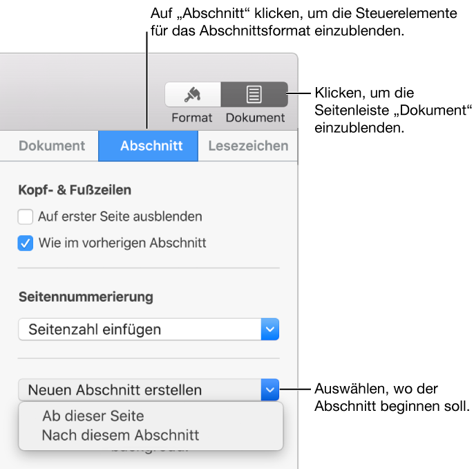 Der Tab „Abschnitt“ mit dem Einblendmenü „Neuen Abschnitt erstellen“.