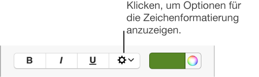 Das Markierungsfeld „Erweiterte Optionen“ neben den Tasten „Fett“, „Kursiv“ und „Unterstreichen“