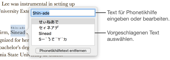 Die geöffnete Phonetikhilfe für ein Wort mit Beschreibungen für das Textfeld und einen Textvorschlag
