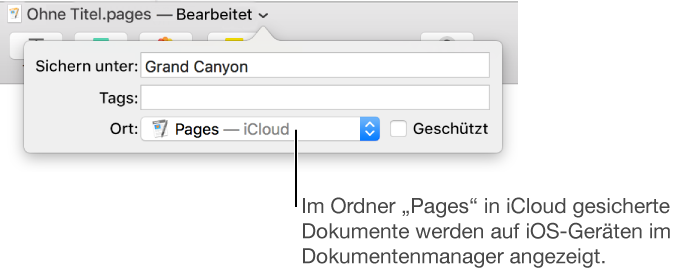 Das Fenster „Sichern“ für ein Dokument mit Pages – iCloud im Einblendmenü „Ort“