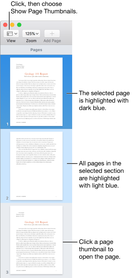 The thumbnail sidebar with the selected page highlighted in dark blue and all pages in the selected section highlighted in light blue.
