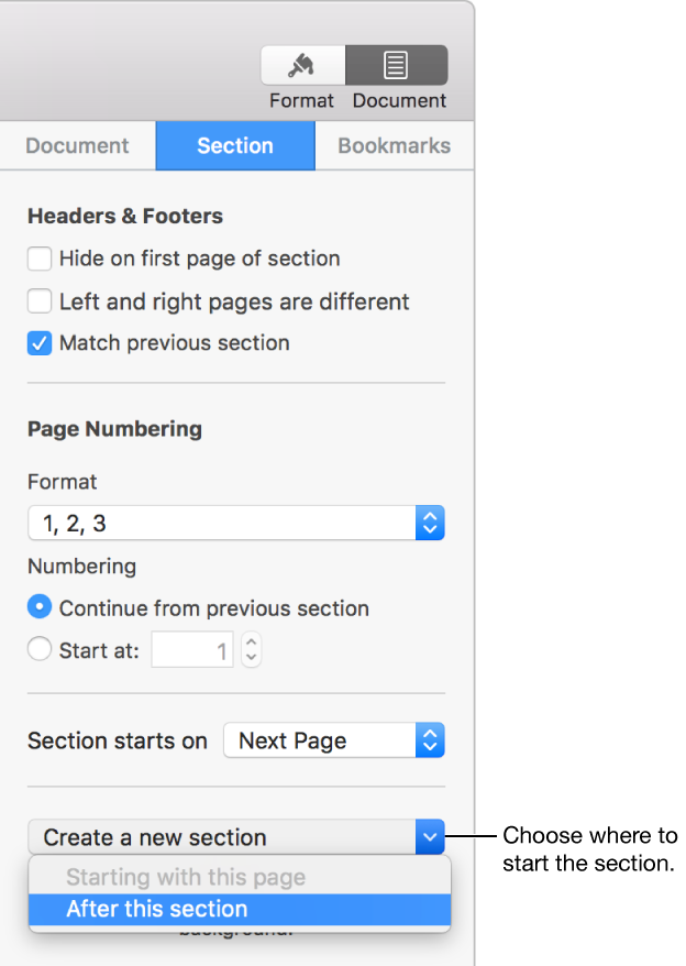 The Section tab with controls for headers, footers, page numbers, and where to start the new section.