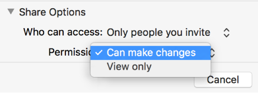 The Share Options section of the collaboration dialog with the Permission pop-up menu open and “Can make changes” selected.