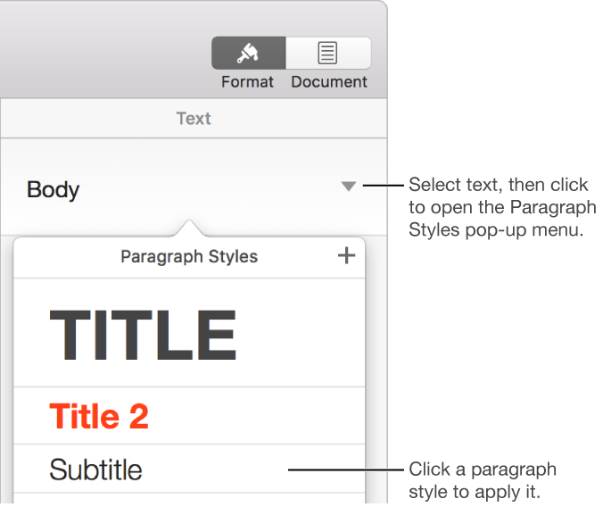 The paragraph styles menu with a checkmark next to the selected style.