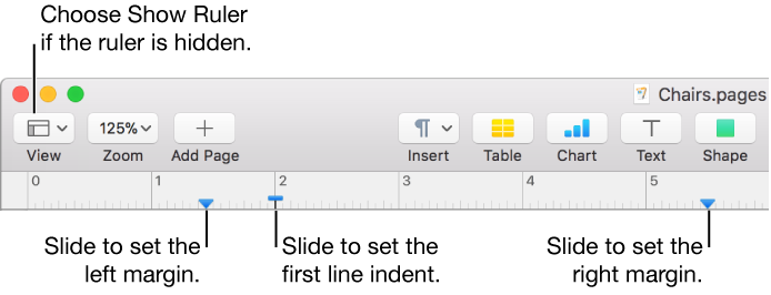 The ruler with the left margin control and first line indent control.