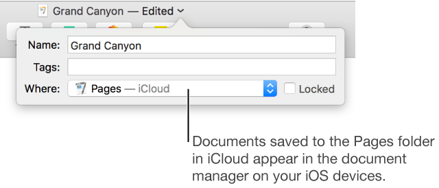 The Save dialog for a document with Pages—iCloud in the Where pop-up menu.