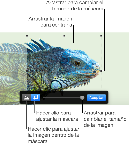 Controles de máscara sobre una foto.