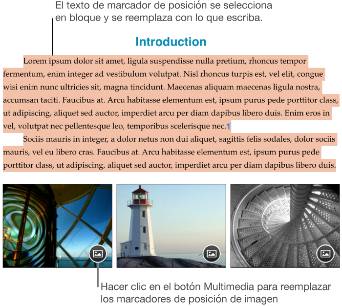 Texto e imágenes de marcador de posición.