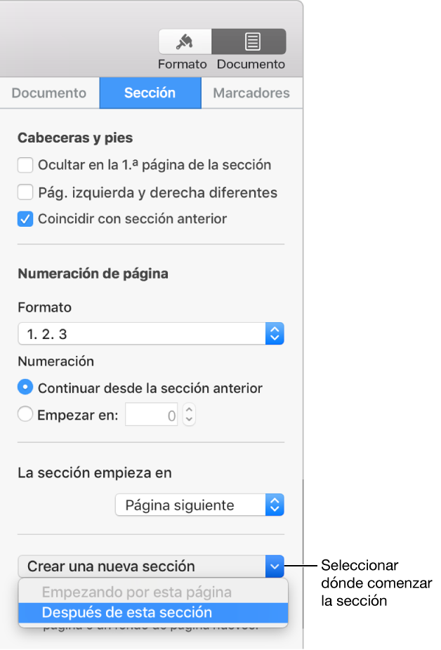 Pestaña Sección con controles para cabeceras, pies de página, números de página y dónde empezar la nueva sección.