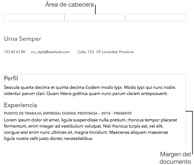 Vista Disposición mostrando el área de cabecera y los márgenes del documento.