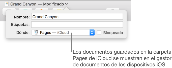 El cuadro de diálogo Guardar de un documento abierto con “Pages — iCloud” se encuentra en el menú desplegable Dónde.