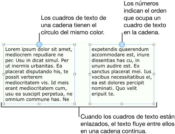 Dos cuadros de texto con círculos azules en la parte superior y los números 1 y 2 dentro de los círculos.