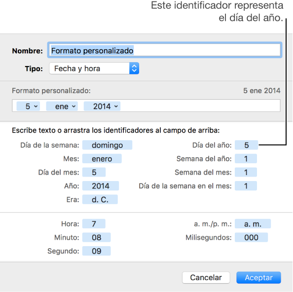 La ventana de formato de celda personalizado con controles para seleccionar formatos de fecha y hora personalizados.