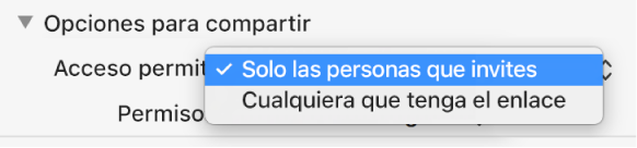 Sección “Opciones para compartir” del cuadro de diálogo de colaboración con el menú desplegable “Quién tiene acceso” abierto y la opción “Solo las personas a las que invite” seleccionada.
