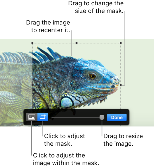 Mask controls over a photo.