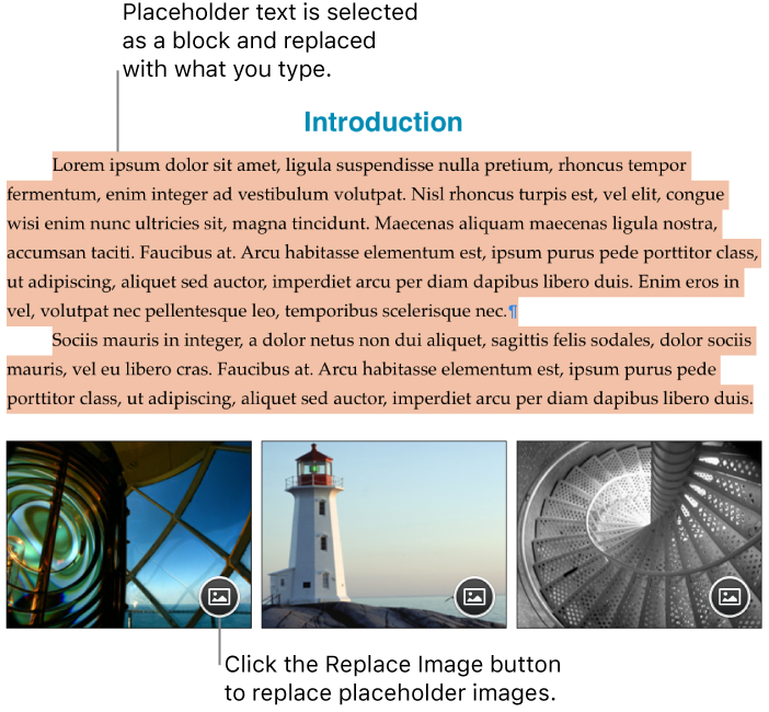 Placeholder text and images.