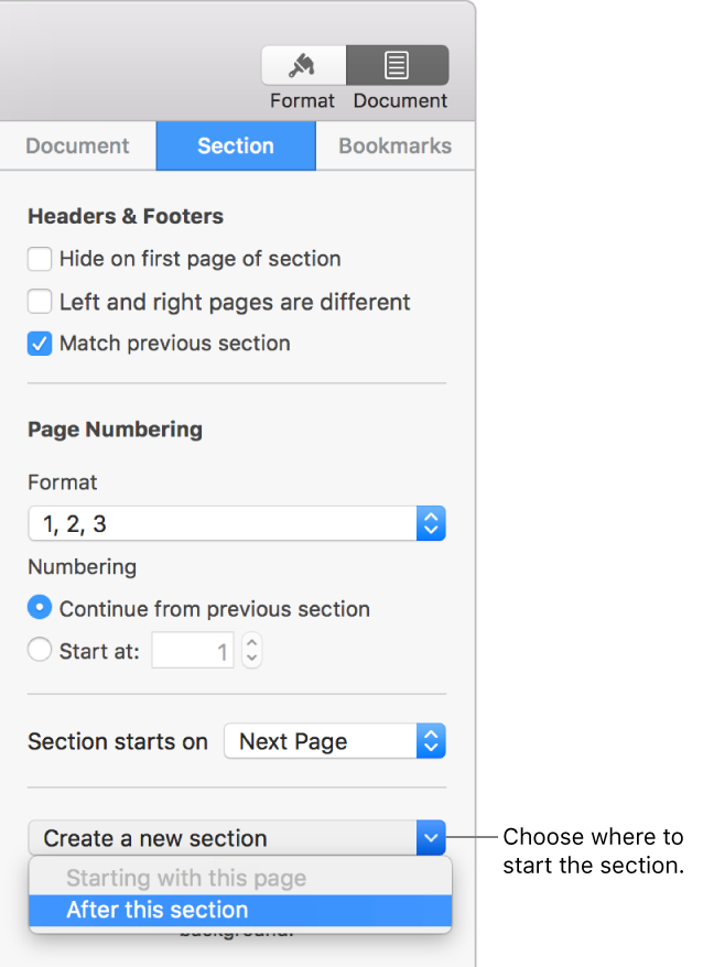 The Section tab with controls for headers, footers, page numbers, and where to start the new section.
