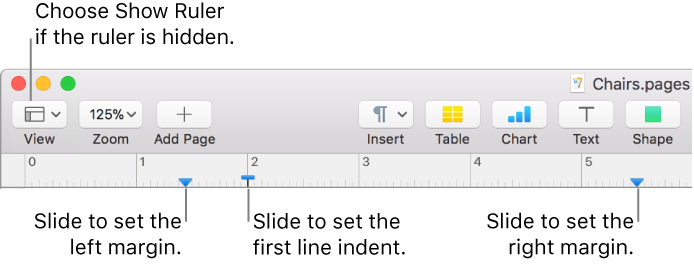 The ruler with the left margin control and first line indent control.