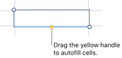 A selected cell with a yellow handle you can drag to autofill cells.