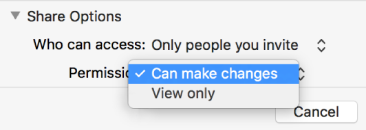 The Share Options section of the collaboration dialog with the Permission pop-up menu open and “Can make changes” selected.