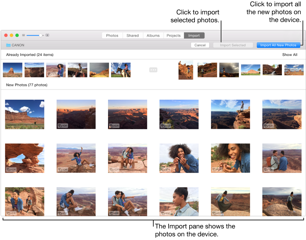 Photos window with the Import pane showing