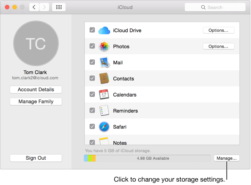 iCloud pane of System Preferences