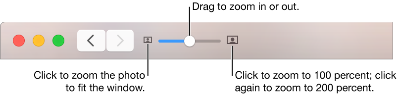Toolbar showing zoom controls