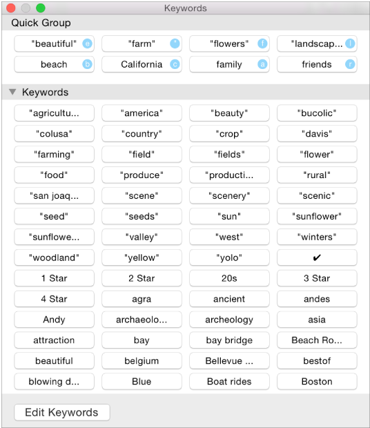 Keyword Manager window