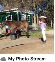 Thumbnail of the My Photo Stream album