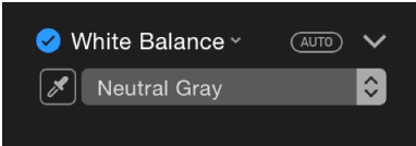 White Balance controls in the Adjustments pane